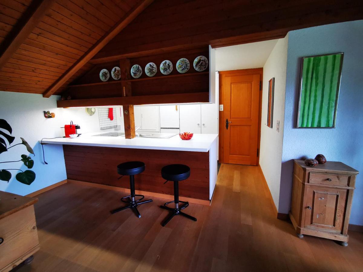 Ferienwohnung Marmottin Luzern Exterior foto